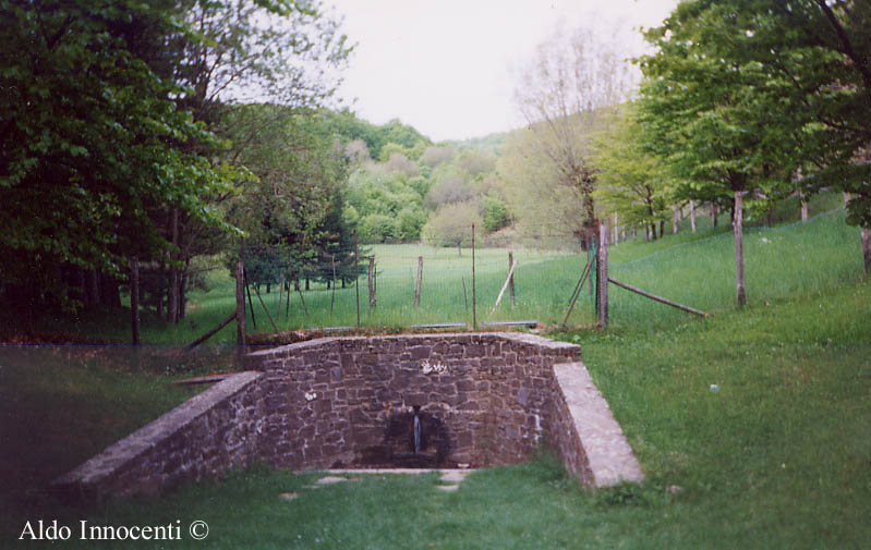 FONTE CETICA